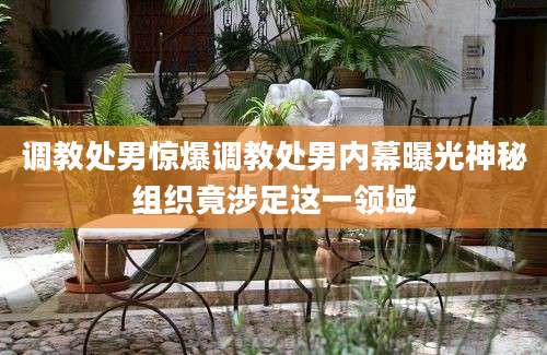 调教处男惊爆调教处男内幕曝光神秘组织竟涉足这一领域