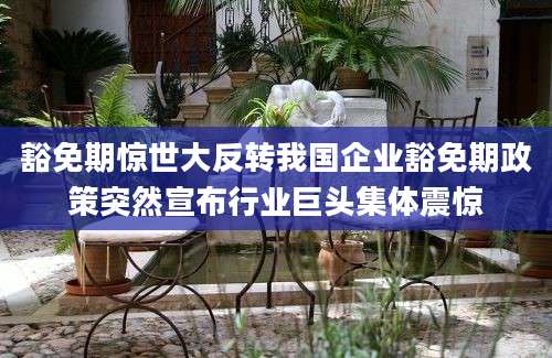 豁免期惊世大反转我国企业豁免期政策突然宣布行业巨头集体震惊