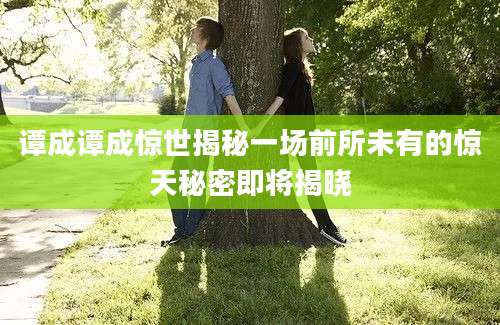 谭成谭成惊世揭秘一场前所未有的惊天秘密即将揭晓