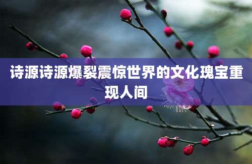 诗源诗源爆裂震惊世界的文化瑰宝重现人间