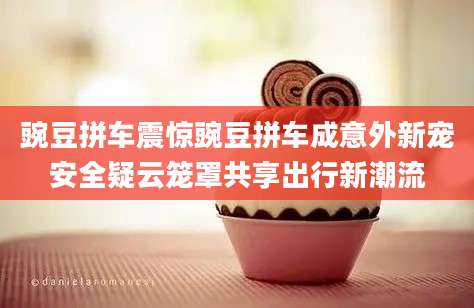 豌豆拼车震惊豌豆拼车成意外新宠安全疑云笼罩共享出行新潮流