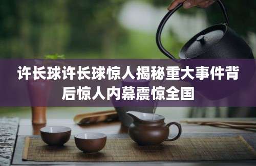 许长球许长球惊人揭秘重大事件背后惊人内幕震惊全国