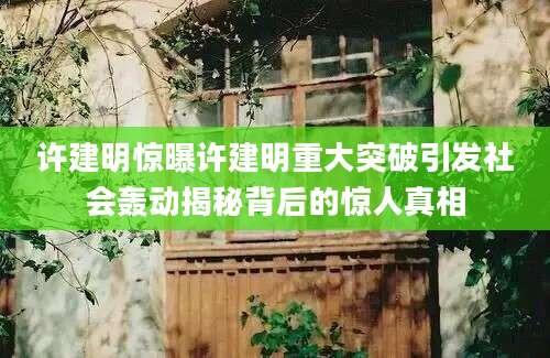 许建明惊曝许建明重大突破引发社会轰动揭秘背后的惊人真相