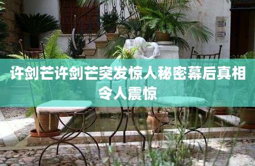 许剑芒许剑芒突发惊人秘密幕后真相令人震惊