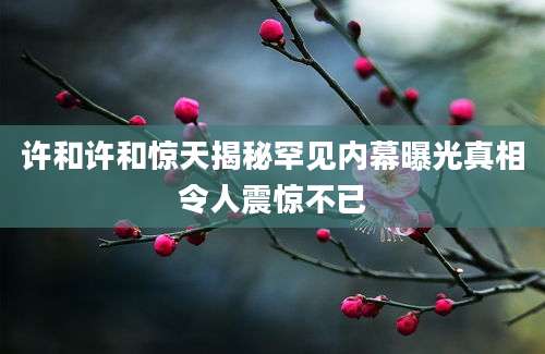 许和许和惊天揭秘罕见内幕曝光真相令人震惊不已