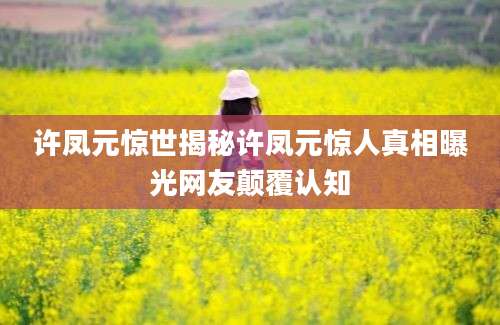 许凤元惊世揭秘许凤元惊人真相曝光网友颠覆认知