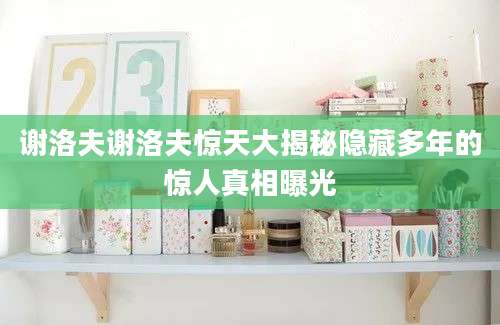 谢洛夫谢洛夫惊天大揭秘隐藏多年的惊人真相曝光