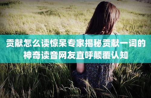 贡献怎么读惊呆专家揭秘贡献一词的神奇读音网友直呼颠覆认知