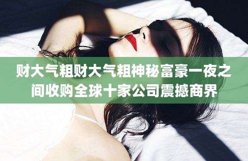 财大气粗财大气粗神秘富豪一夜之间收购全球十家公司震撼商界