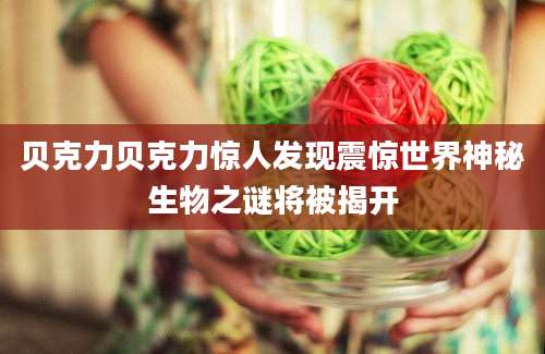 贝克力贝克力惊人发现震惊世界神秘生物之谜将被揭开