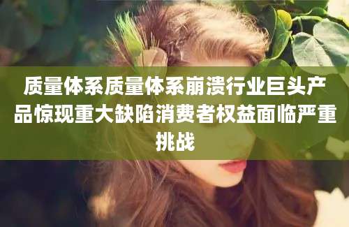 质量体系质量体系崩溃行业巨头产品惊现重大缺陷消费者权益面临严重挑战