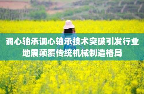 调心轴承调心轴承技术突破引发行业地震颠覆传统机械制造格局