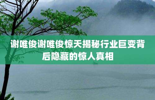 谢唯俊谢唯俊惊天揭秘行业巨变背后隐藏的惊人真相