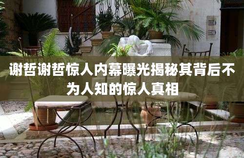 谢哲谢哲惊人内幕曝光揭秘其背后不为人知的惊人真相