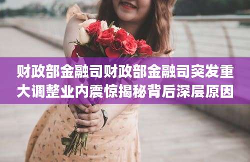 财政部金融司财政部金融司突发重大调整业内震惊揭秘背后深层原因