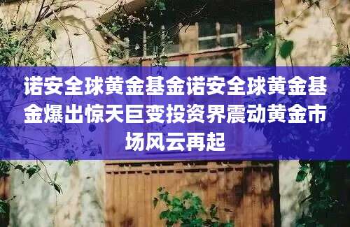 诺安全球黄金基金诺安全球黄金基金爆出惊天巨变投资界震动黄金市场风云再起