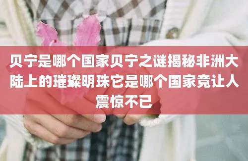 贝宁是哪个国家贝宁之谜揭秘非洲大陆上的璀璨明珠它是哪个国家竟让人震惊不已