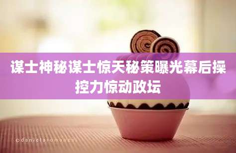 谋士神秘谋士惊天秘策曝光幕后操控力惊动政坛