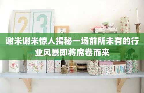 谢米谢米惊人揭秘一场前所未有的行业风暴即将席卷而来