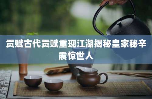 贡赋古代贡赋重现江湖揭秘皇家秘辛震惊世人