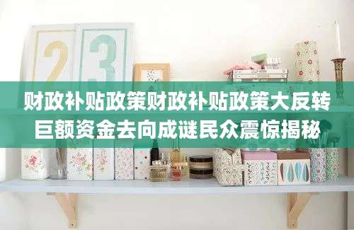财政补贴政策财政补贴政策大反转巨额资金去向成谜民众震惊揭秘