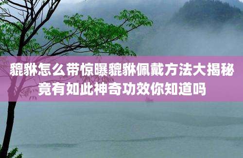 貔貅怎么带惊曝貔貅佩戴方法大揭秘竟有如此神奇功效你知道吗