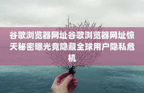 谷歌浏览器网址谷歌浏览器网址惊天秘密曝光竟隐藏全球用户隐私危机
