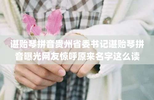 谌贻琴拼音贵州省委书记谌贻琴拼音曝光网友惊呼原来名字这么读