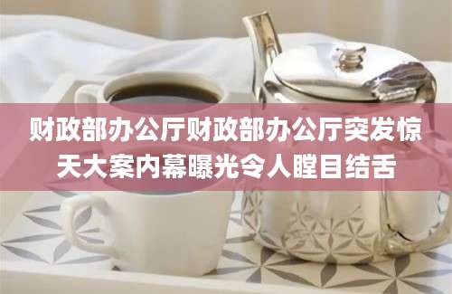 财政部办公厅财政部办公厅突发惊天大案内幕曝光令人瞠目结舌