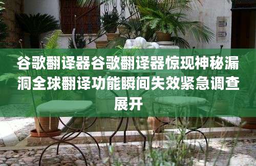 谷歌翻译器谷歌翻译器惊现神秘漏洞全球翻译功能瞬间失效紧急调查展开