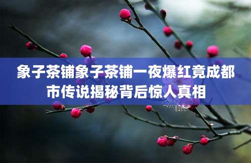 象子茶铺象子茶铺一夜爆红竟成都市传说揭秘背后惊人真相
