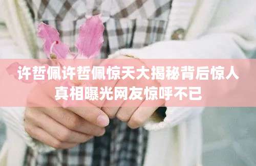 许哲佩许哲佩惊天大揭秘背后惊人真相曝光网友惊呼不已