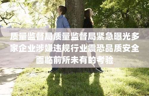 质量监督局质量监督局紧急曝光多家企业涉嫌违规行业震恐品质安全面临前所未有的考验