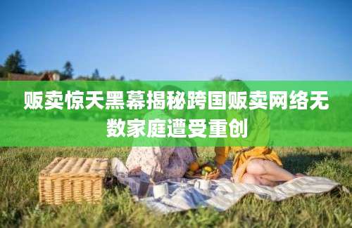 贩卖惊天黑幕揭秘跨国贩卖网络无数家庭遭受重创