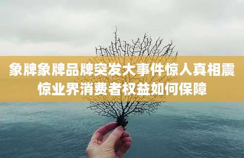 象牌象牌品牌突发大事件惊人真相震惊业界消费者权益如何保障