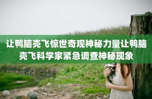 让鸭脑壳飞惊世奇观神秘力量让鸭脑壳飞科学家紧急调查神秘现象