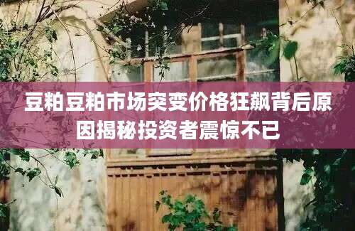豆粕豆粕市场突变价格狂飙背后原因揭秘投资者震惊不已