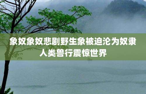 象奴象奴悲剧野生象被迫沦为奴隶人类兽行震惊世界