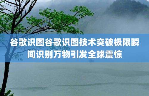 谷歌识图谷歌识图技术突破极限瞬间识别万物引发全球震惊