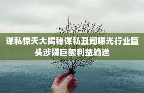谋私惊天大揭秘谋私丑闻曝光行业巨头涉嫌巨额利益输送