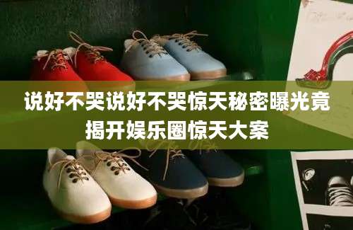 说好不哭说好不哭惊天秘密曝光竟揭开娱乐圈惊天大案