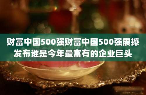 财富中国500强财富中国500强震撼发布谁是今年最富有的企业巨头