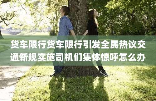 货车限行货车限行引发全民热议交通新规实施司机们集体惊呼怎么办