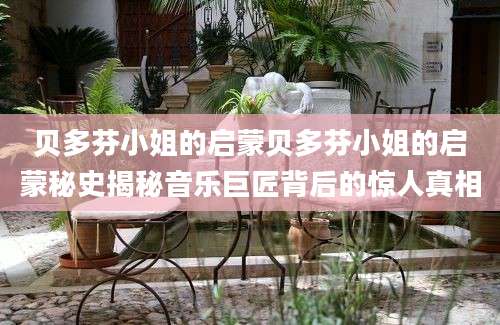 贝多芬小姐的启蒙贝多芬小姐的启蒙秘史揭秘音乐巨匠背后的惊人真相