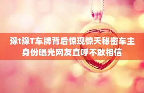 豫t豫T车牌背后惊现惊天秘密车主身份曝光网友直呼不敢相信