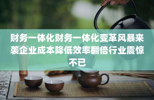 财务一体化财务一体化变革风暴来袭企业成本降低效率翻倍行业震惊不已