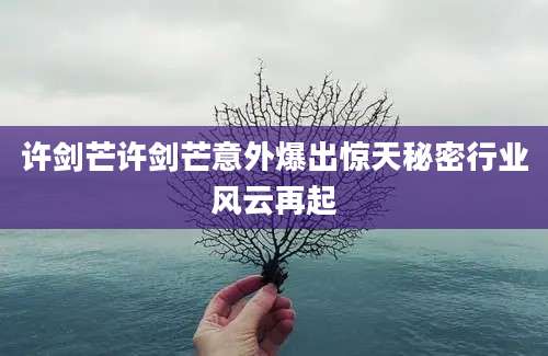 许剑芒许剑芒意外爆出惊天秘密行业风云再起