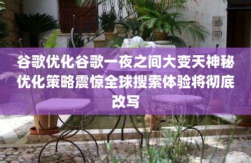 谷歌优化谷歌一夜之间大变天神秘优化策略震惊全球搜索体验将彻底改写
