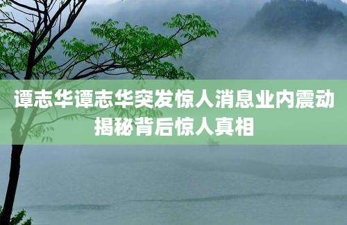 谭志华谭志华突发惊人消息业内震动揭秘背后惊人真相