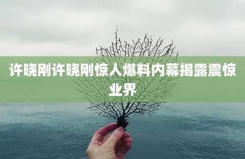 许晓刚许晓刚惊人爆料内幕揭露震惊业界